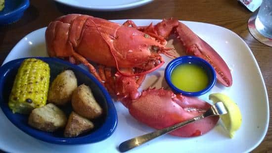 Red Lobster Live Miane Lobster